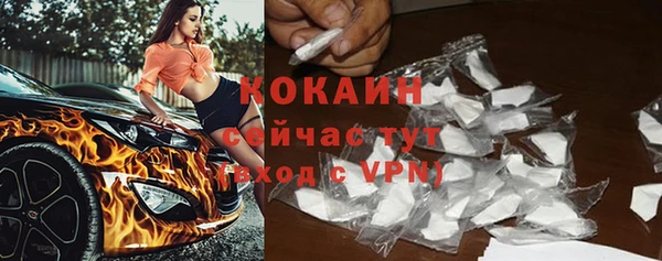 стаф Няндома