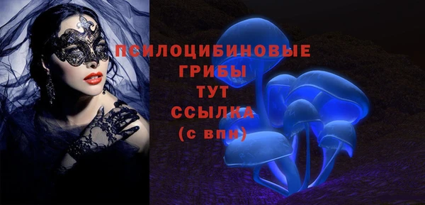 прущие грибы Алексеевка