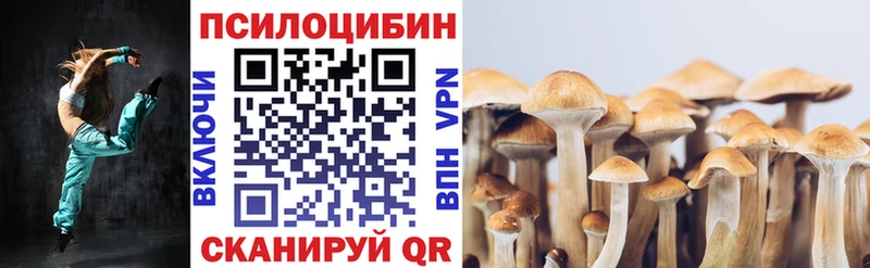 купить наркотик Новоаннинский Псилоцибиновые грибы Psilocybe