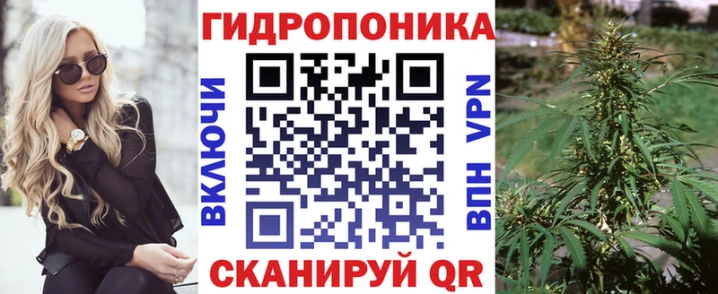 Конопля Amnesia  Новоаннинский 
